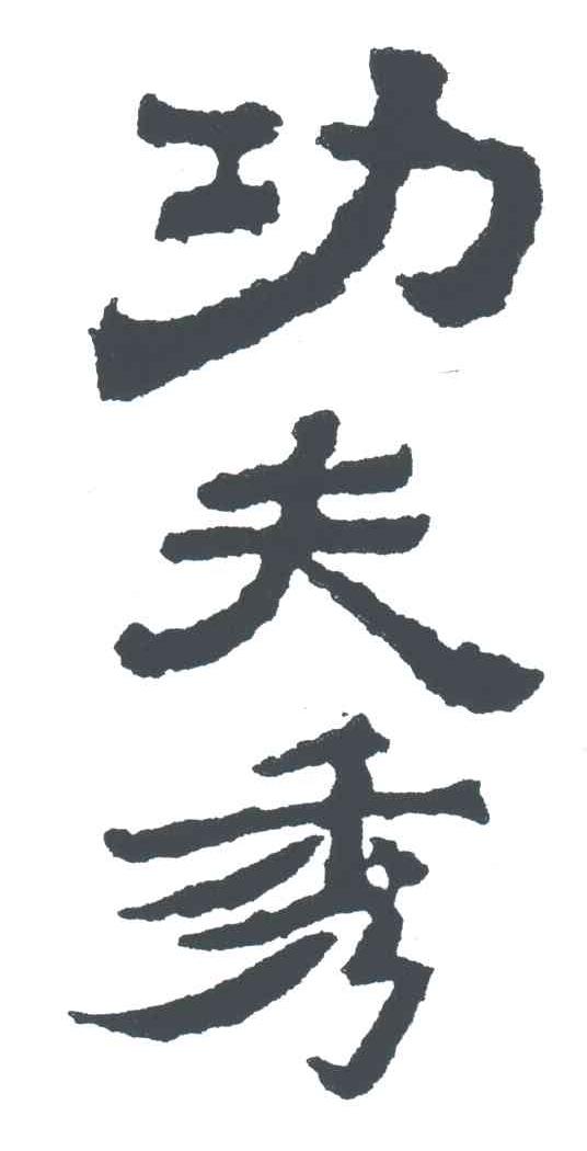 功夫秀;