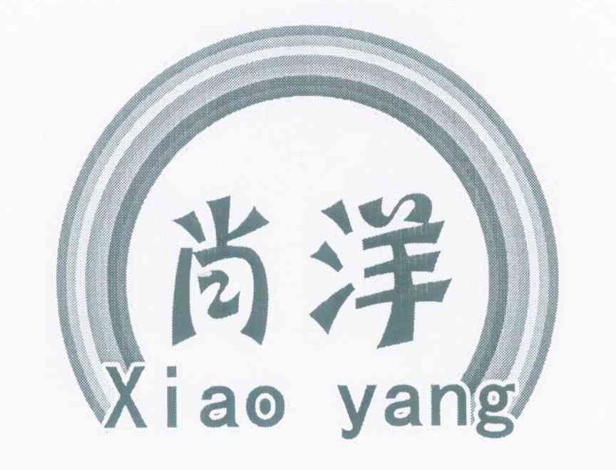 肖洋