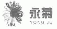 永菊