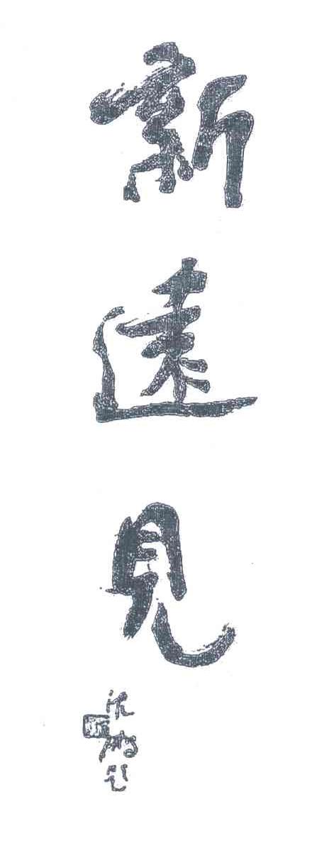 新远见