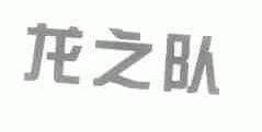 龙之队