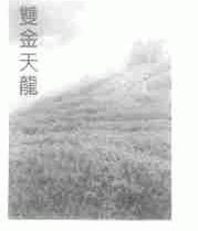 双金天龙