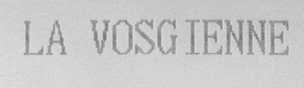 LA VOSGIENNE