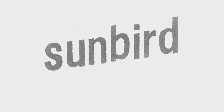 SUNBIRD