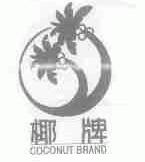 椰;COCONUT
