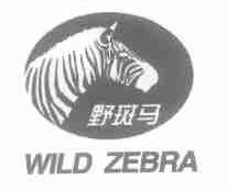 野斑马;WILD ZEBRA