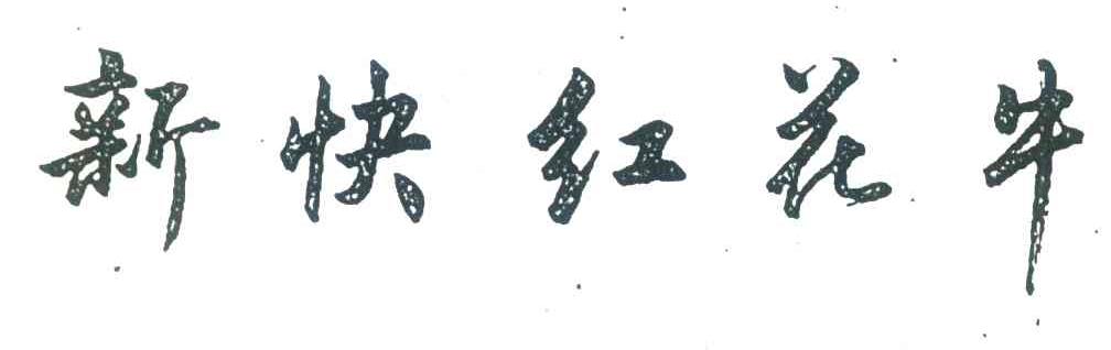 新快红花牛