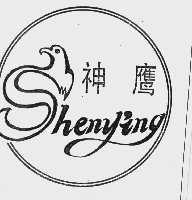 神鹰
