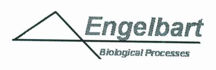 ENGELBART;BIOLOGICAL PROCESSES;ENGELBART BIOLOGICAL PROCESSES