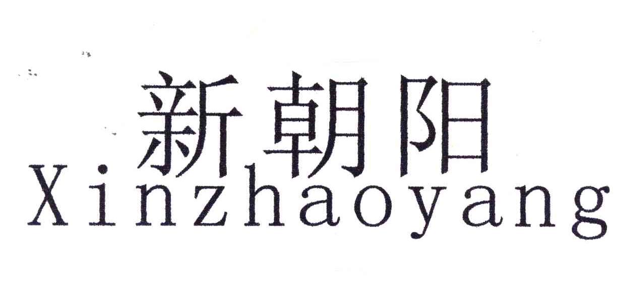 新朝阳
