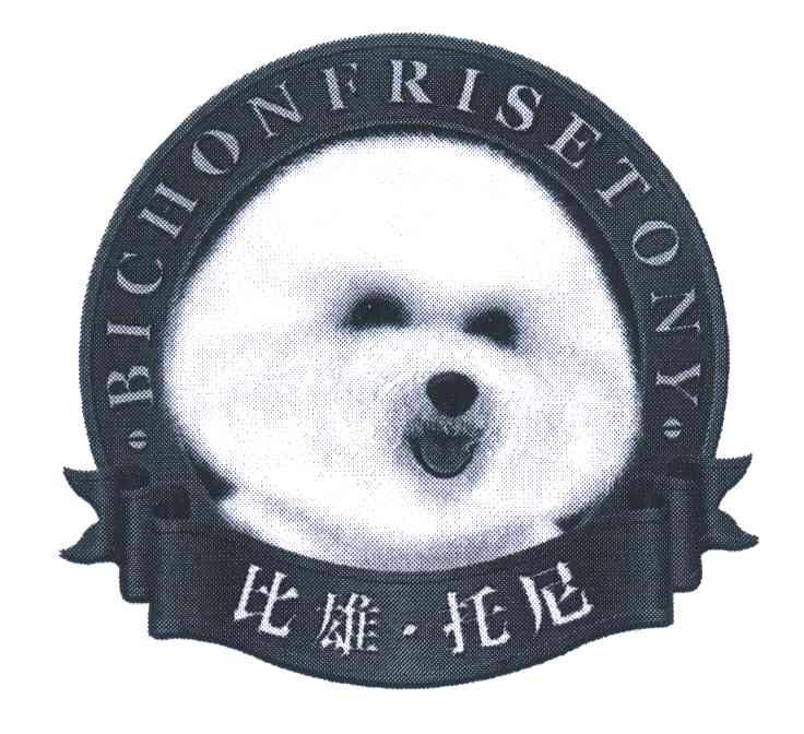 比雄托尼;BICHONFRISETONY