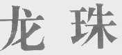 龙珠
