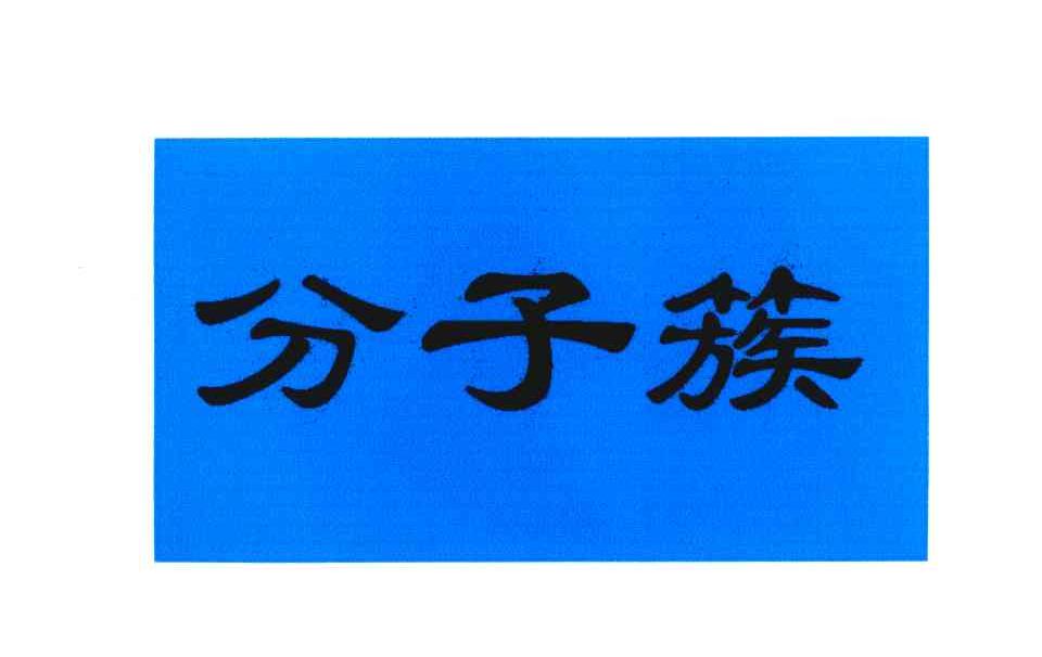 分子簇