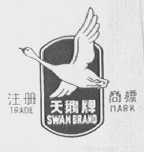 天鹅