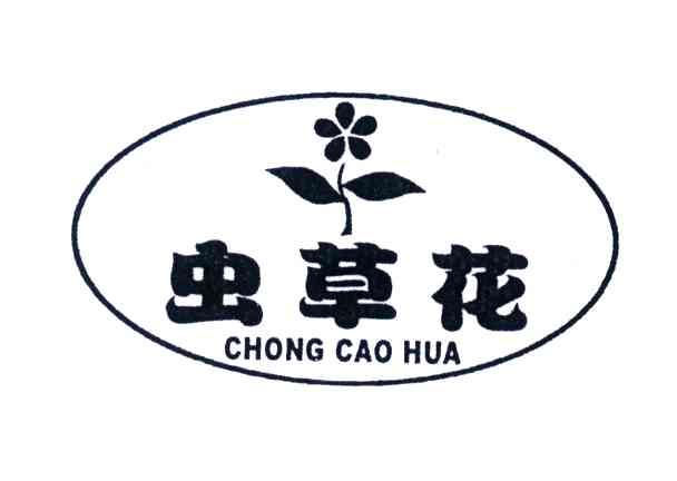 虫草花