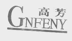 高芳   GNFENY