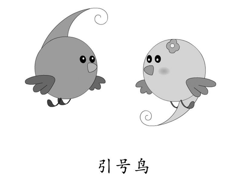 引号鸟