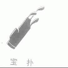 宝扑