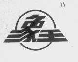 象王