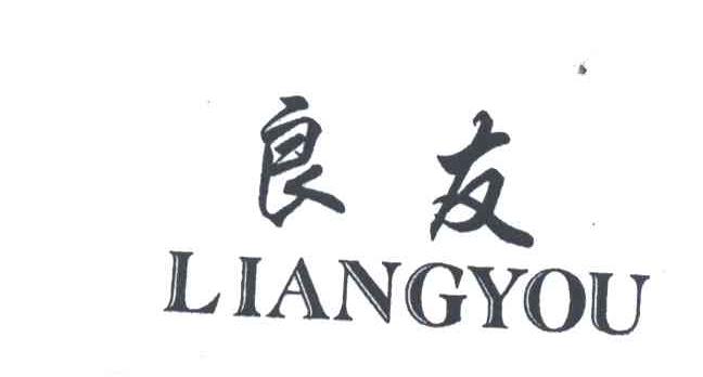 良友;LIANG YOU