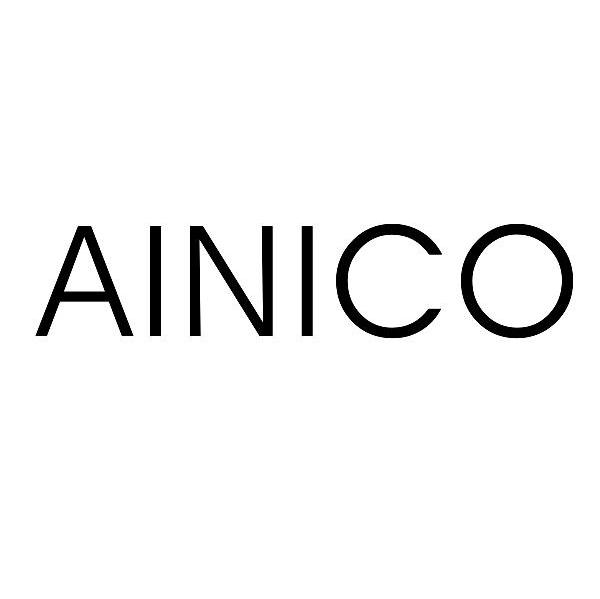 AINICO
