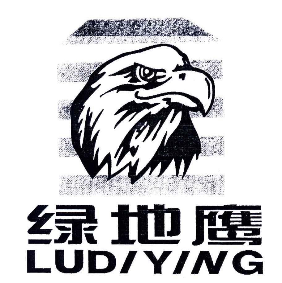 绿地鹰