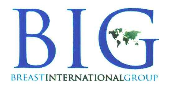 BIG BREASTINTERNATIONAL GROUP