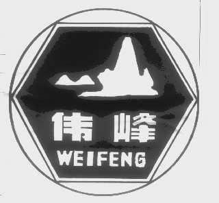 伟峰