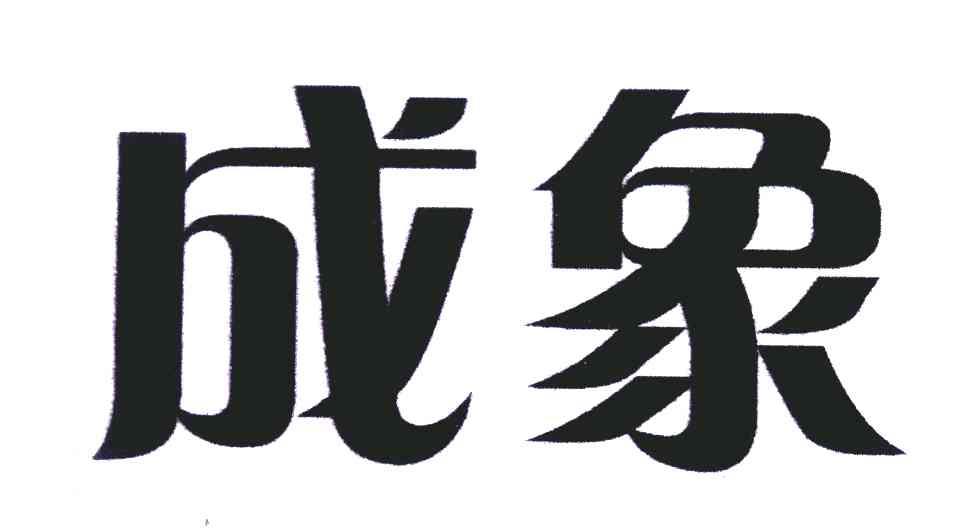 成象