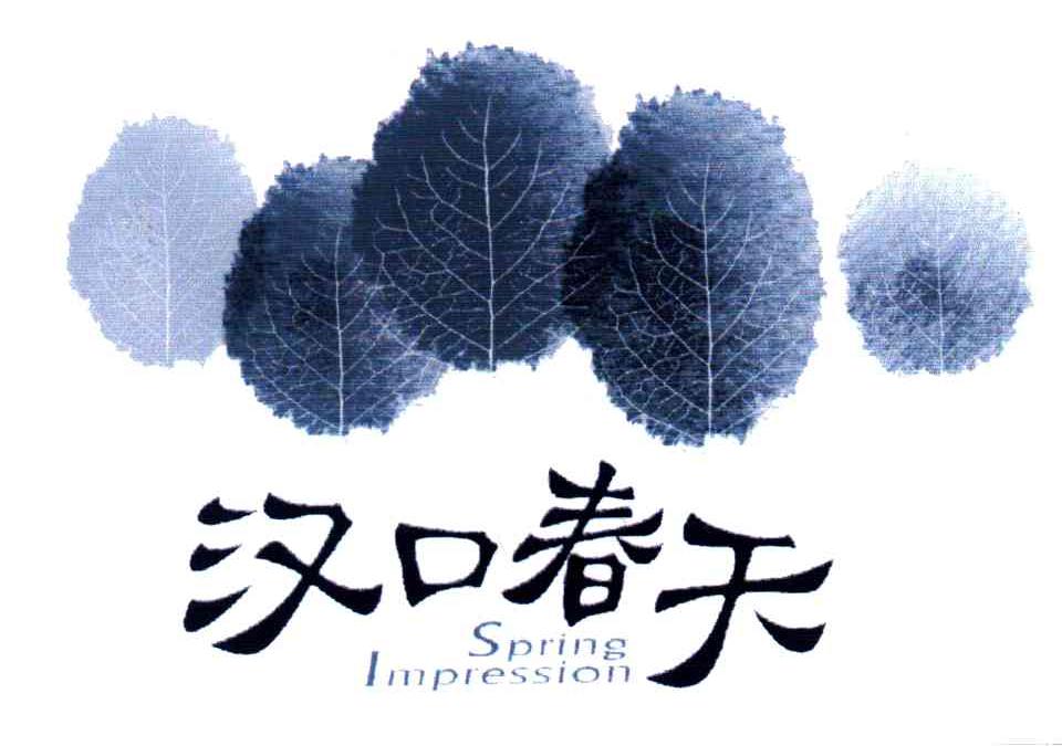 汉口春天;SPRING IMPRESSION