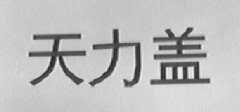 天力盖