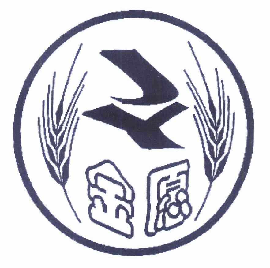 金愿 JY