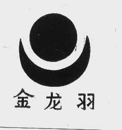 金龙羽
