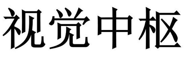 视觉中枢