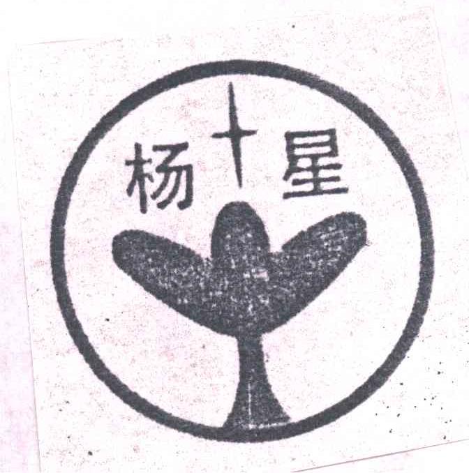 图形;杨星
