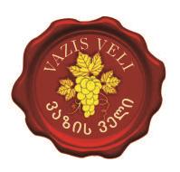 VAZIS VELI
