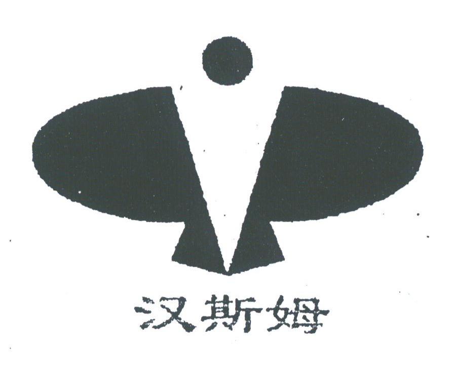 汉斯姆