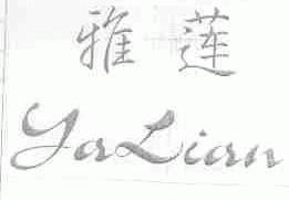 雅莲