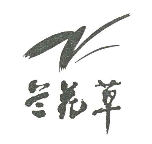 兰花草