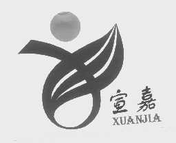 宣嘉