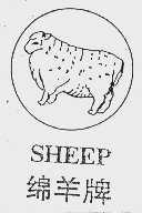 绵羊;SHEEP