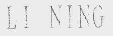 LI NING