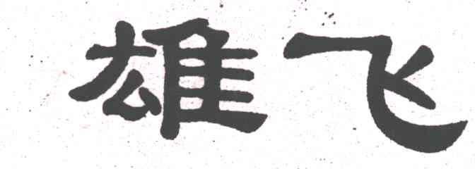 雄飞