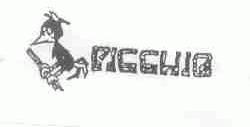 PICCHIO