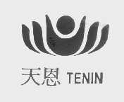 天恩   TENIN