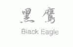 黑鹰;BLACK EAGLE