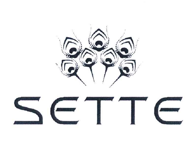SETTE