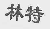 林特
