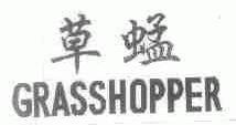 草蜢;GRASSHOPPER