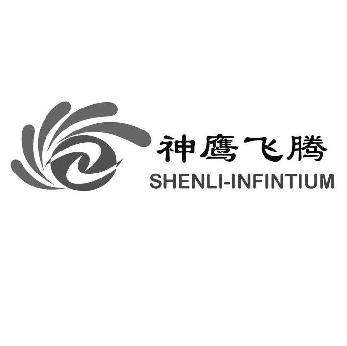 神鹰飞腾 SHENLI-INFINTIUM